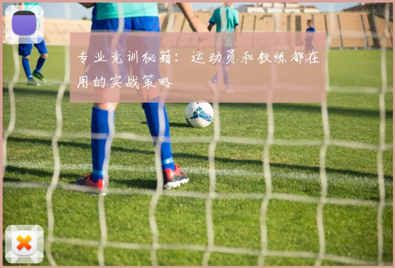 专业竞训秘籍：运动员和教练都在用的实战策略