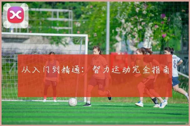 从入门到精通:智力运动完全指南
